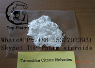Κιτρικό άλας Tamofen Nolva Tamoxifen στεροειδών αυξήσεων CAS 54965-24-1 αρσενικό
