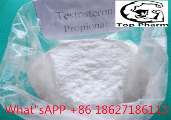 99% καθαρότητα Testosterone Propionate CAS 57-85-2 λευκή σκόνη Αύξηση δύναμης και σεξουαλικής επιθυμίας, ενίσχυση των μυών