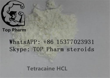99% υδροχλωρίδιο Tetracaine αγνότητας/τοπικό αναισθητικό CAS 136-47-0 Tetracaine HCL/Butethanol/Butylocaine