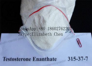 Άσπρη σκόνη αγνότητας Enanthate CAS 315-37-7 99% τεστοστερόνης σκονών κέρδους μυών