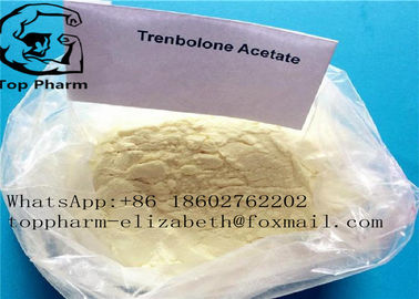 Στεροειδής σκόνη CAS 10161-34-9 Trenbolone άσσων Tren οξικού άλατος Trenbolone ορμονικά φάρμακα που 99%purity